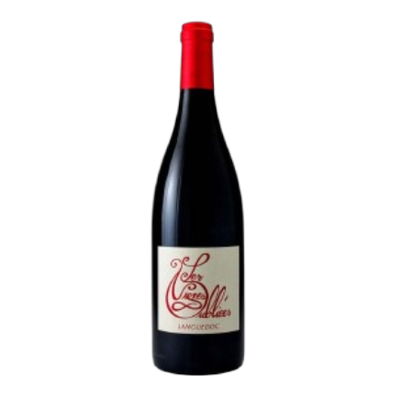 Vignes Oubliees Cinsault 24